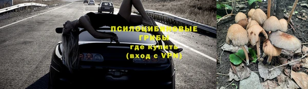 прущая мука Армянск